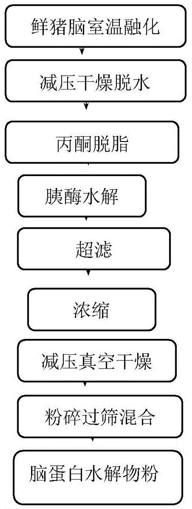 Brain protein hydrolysate preparation method