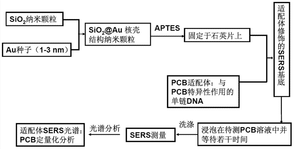 Method capable of quantitatively detecting surface enhanced Raman spectroscopy (SERS) of polychlorinated biphenyl