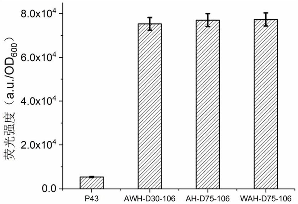 High-efficiency inducible expression system of Bacillus subtilis based on artificial tandem promoter