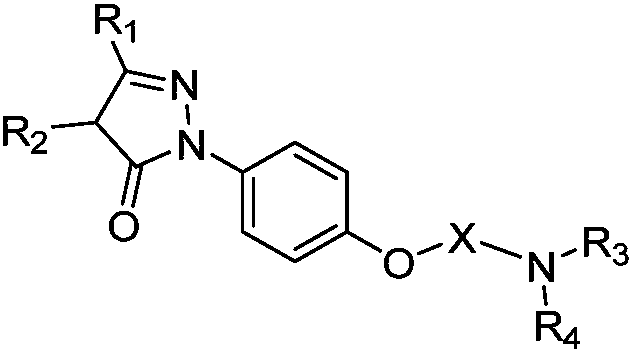 Substituted phenyl pyrazolone derivative as well as preparation method and application of substituted phenyl pyrazolone derivative