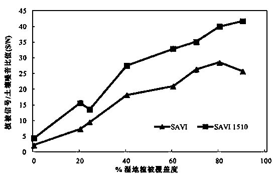 Method for monitoring nitrogen concentration of vegetation canopies in wetland based on hyperspectral vegetation index