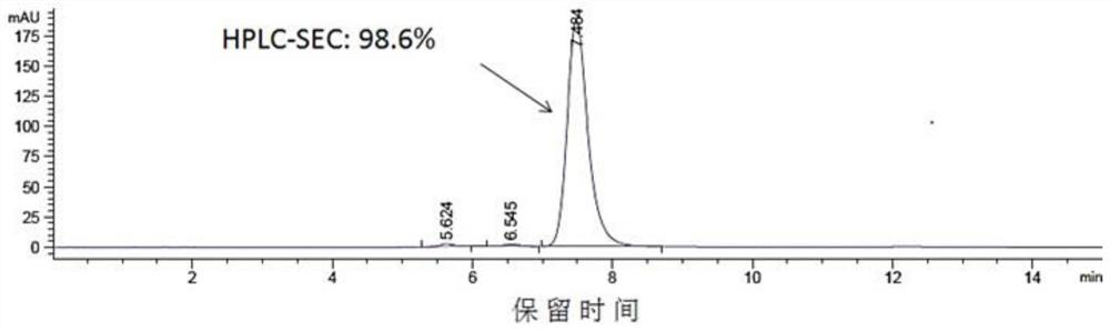 Antibody fusion protein, preparation method thereof and application thereof in tumor resistance