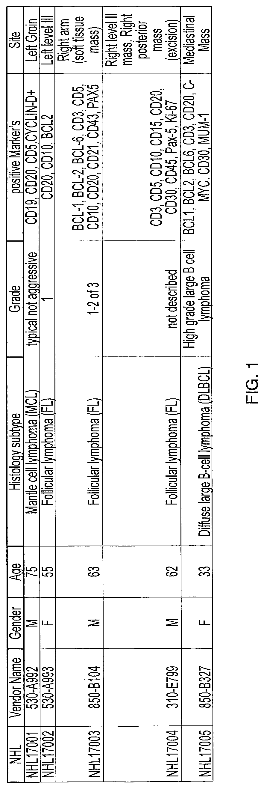 Expansion Of Peripheral Blood Lymphocytes (PBLS) From Peripheral Blood