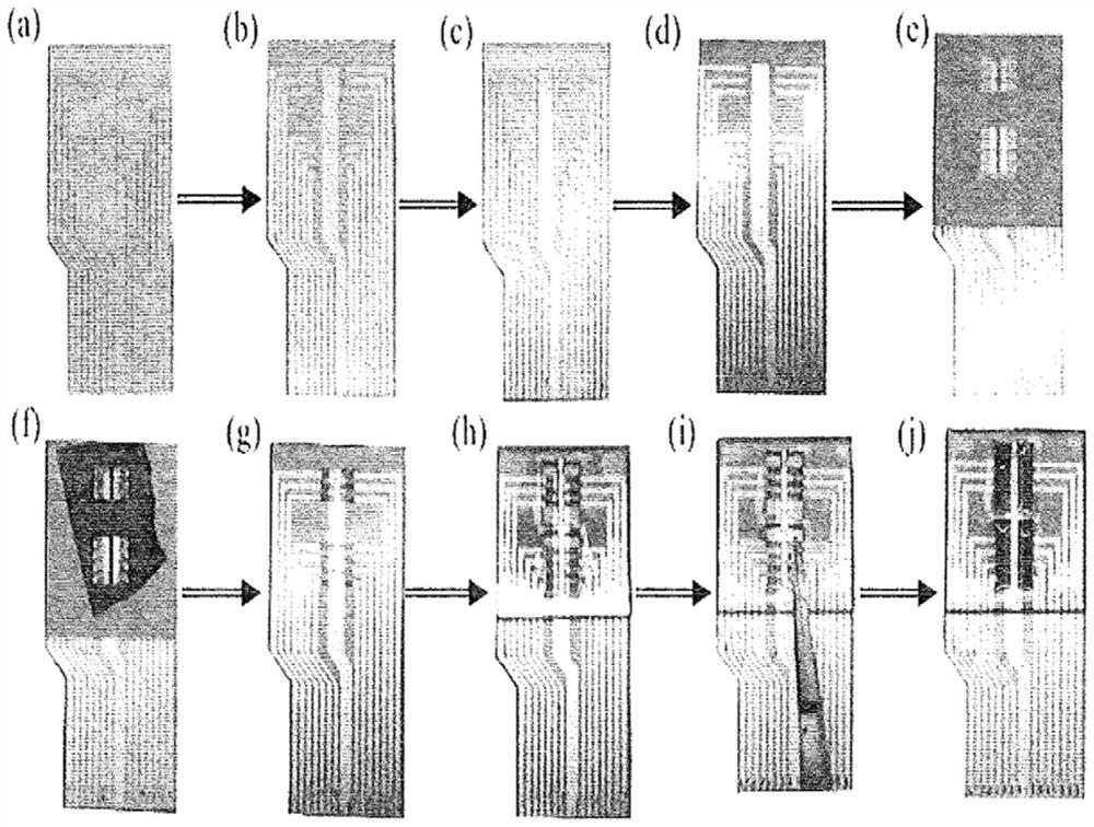 Biosensor for the detection of an analyte