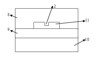 Multimode interference biological chemical sensor based on silicon slot waveguides