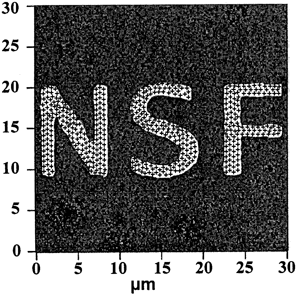 A micro-nano magnetoelectric coupling device based on ferroelectric thin film and self-assembled magnetic nanoparticle structure