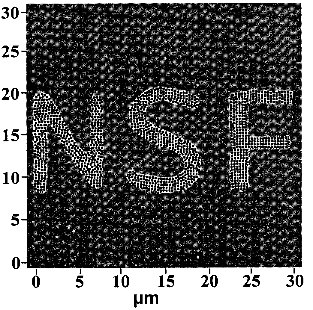 A micro-nano magnetoelectric coupling device based on ferroelectric thin film and self-assembled magnetic nanoparticle structure