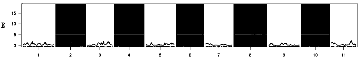 Indel Molecular Marker for Identification of Watermelon Seed Coat Color and Its Primers and Applications