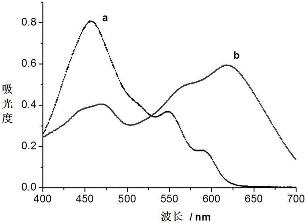 Hypocrellin derivative containing long-chain quaternary ammonium salt, and preparation method and application thereof