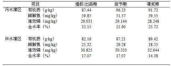 Method of using domestic sewage for corn irrigation to improve soil fertility