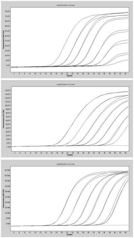 QRT-PCR (quantitative reverse transcription-polymerase chain reaction) method for identifying Indian variant of novel coronavirus