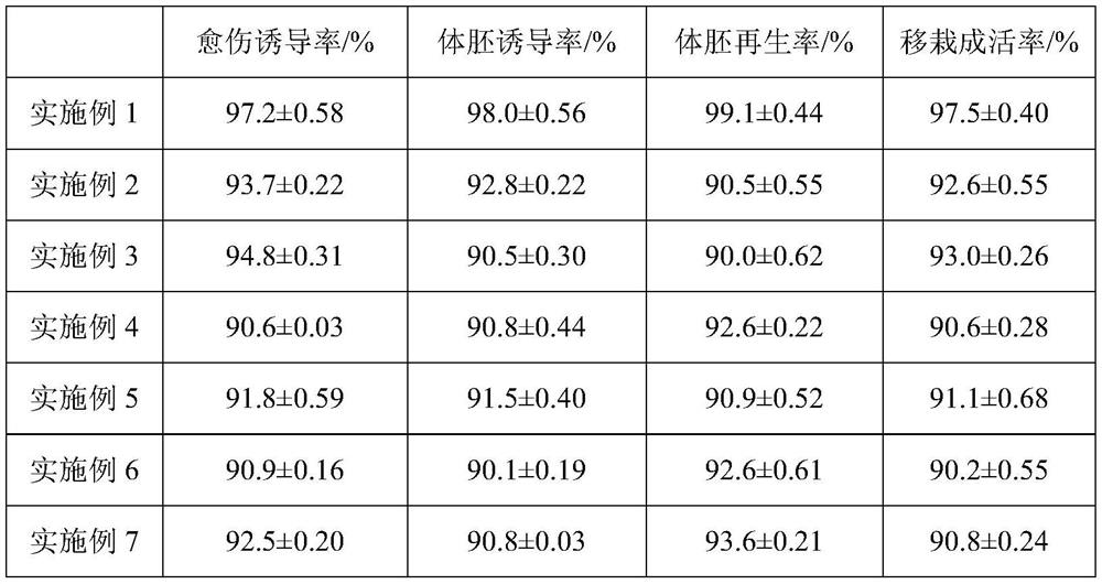 A kind of coconut immature inflorescence tissue culture method