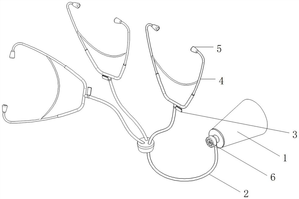 Multi-listening-head temporomandibular joint stethoscope for teaching