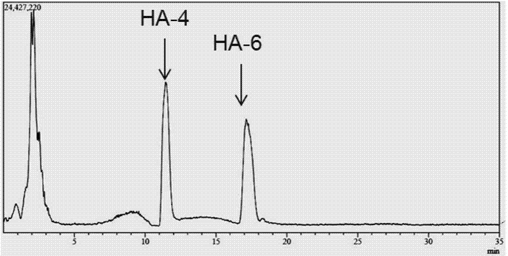 Method for preparing small-molecule oligomeric hyaluronic acid through enzyme method