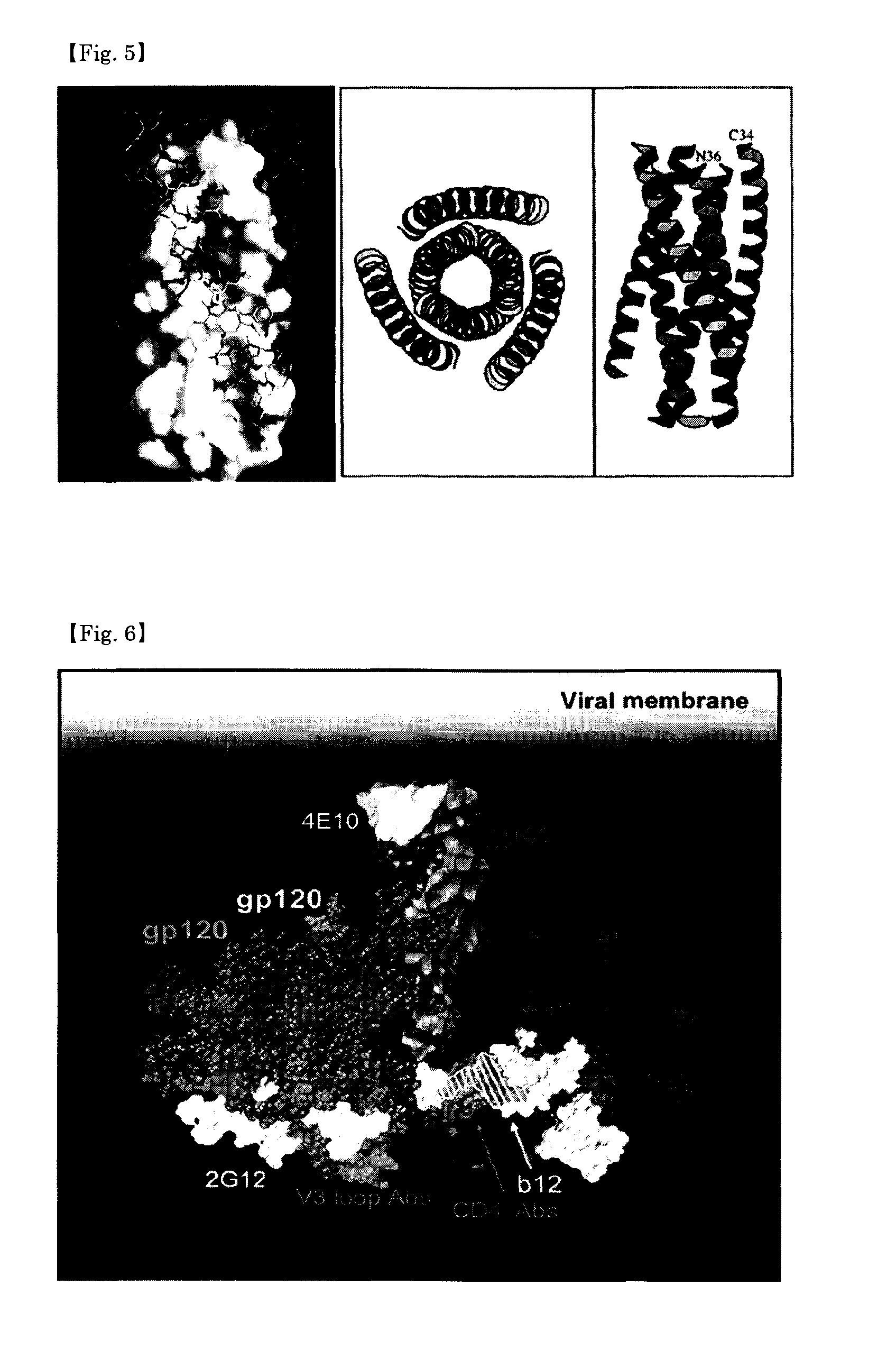 Peptidic antigen that induces antibody recognizing three-dimensional structure of HIV and method for synthesizing same