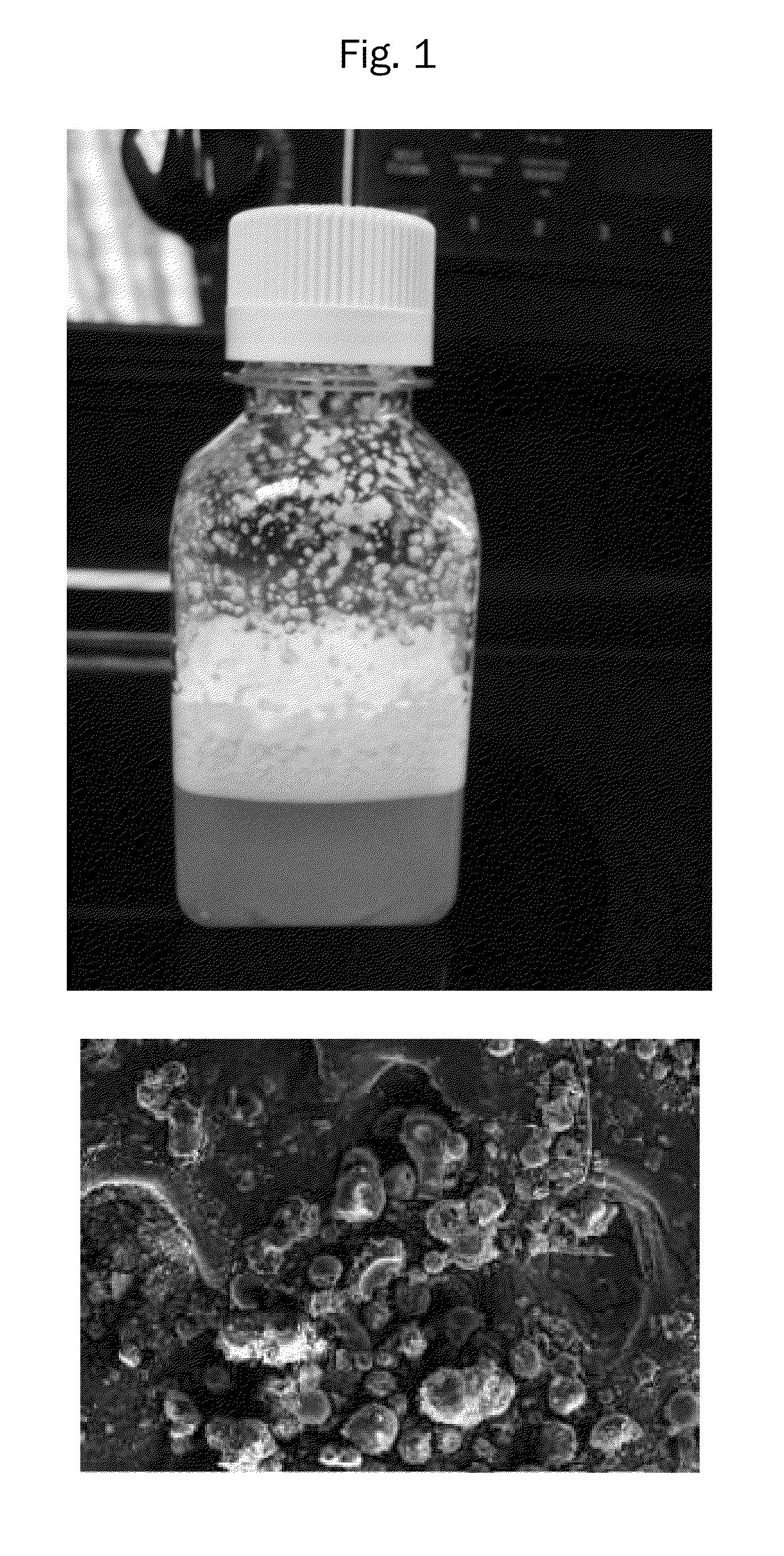 Leucine/Peptide Composition and Method of Formulation