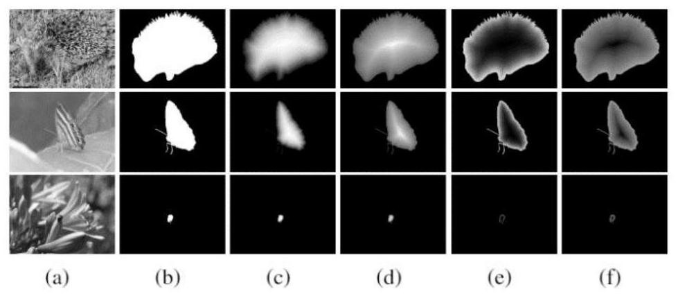 Salient target detection method based on complementary branch network