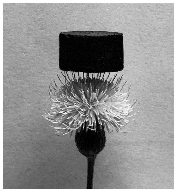 High-strength and high-elasticity graphene aerogel free of slag falling and preparation method thereof