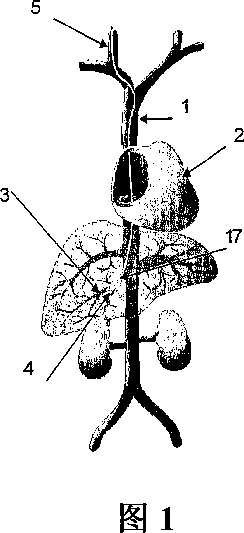 Methods for targeted delivery of genetic material to the liver