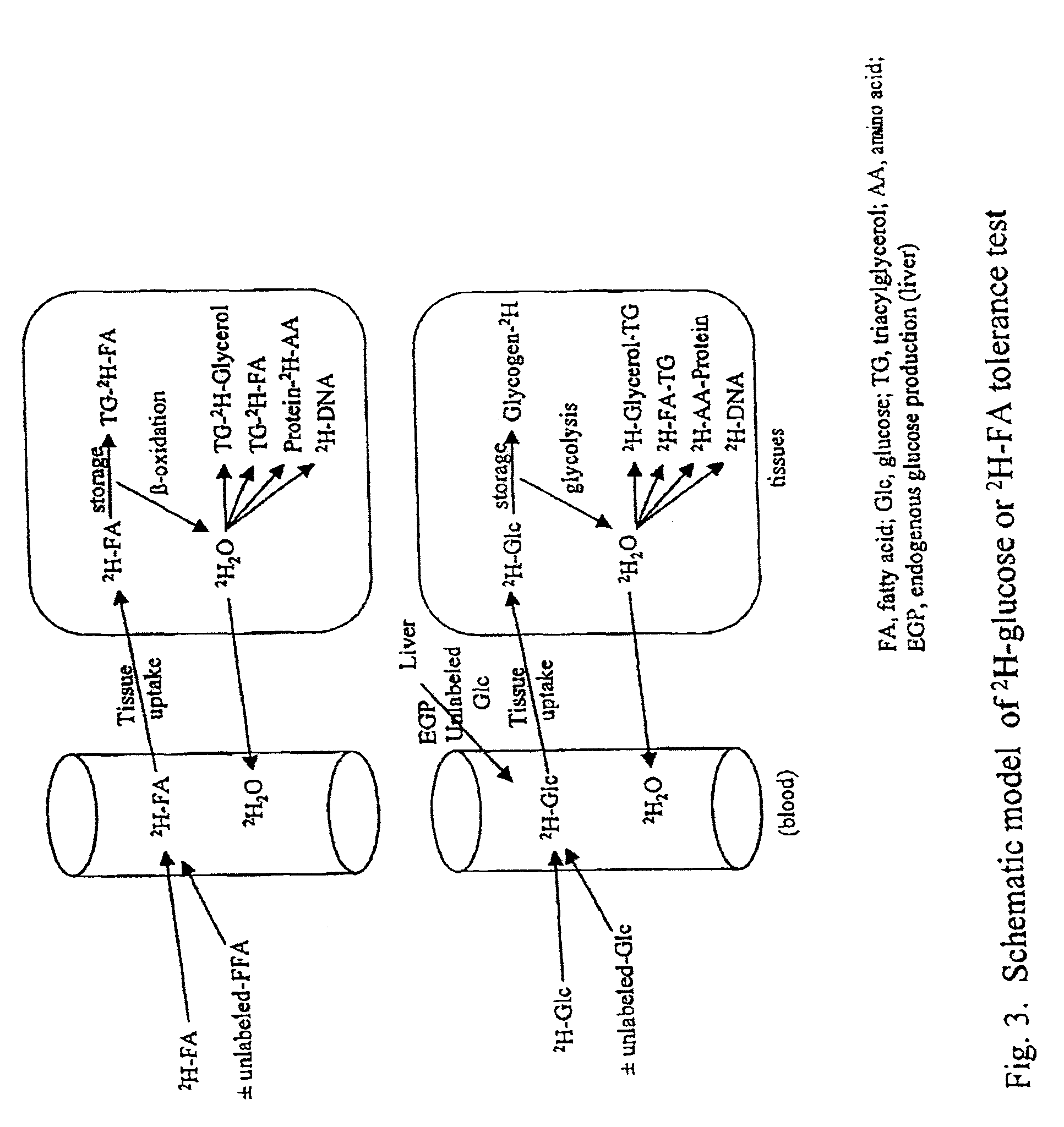 Methods for identifying the effect of a drug agent on the metabolism of sugars and fats in an individual