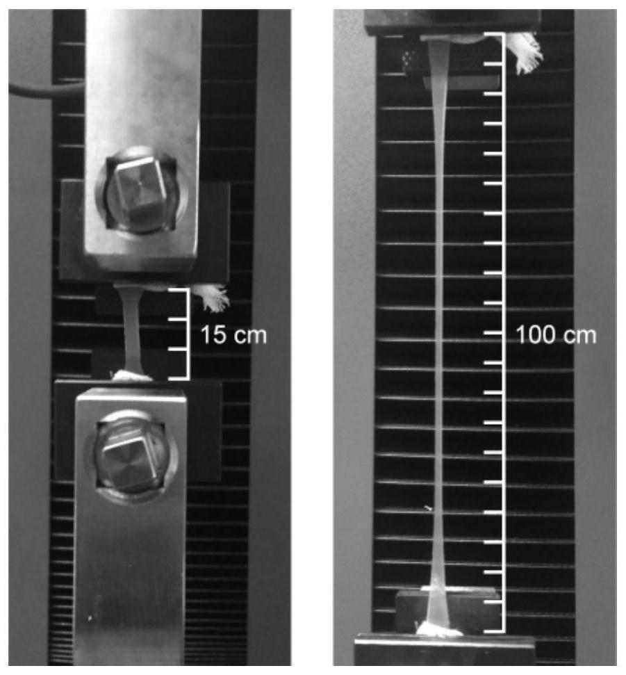 Composition for polymer gel, gel prepared from composition and application of gel