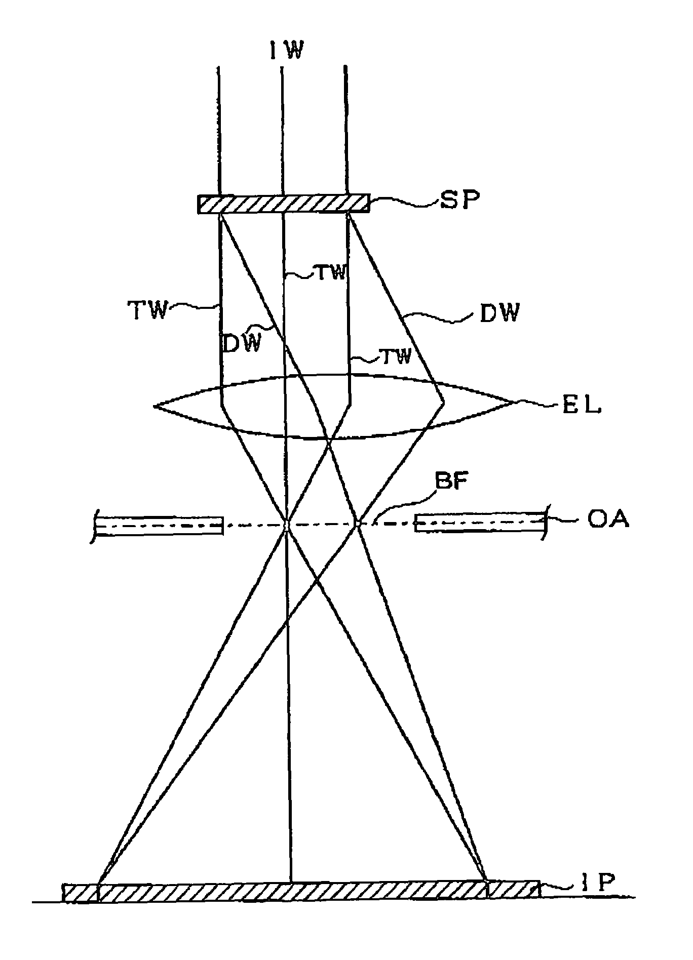 Method of observation by transmission electron microscopy