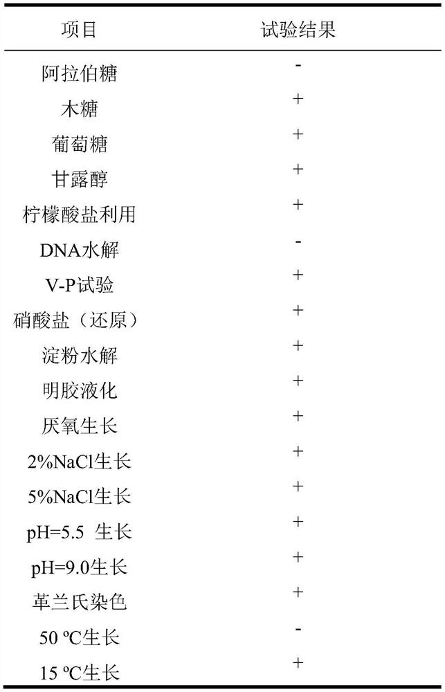 A kind of Bacillus cereus having the ability to degrade monomethylamine and its application