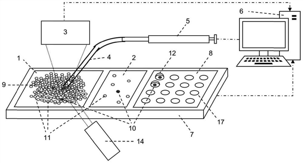 Device and method for high-purity sorting of rare cells