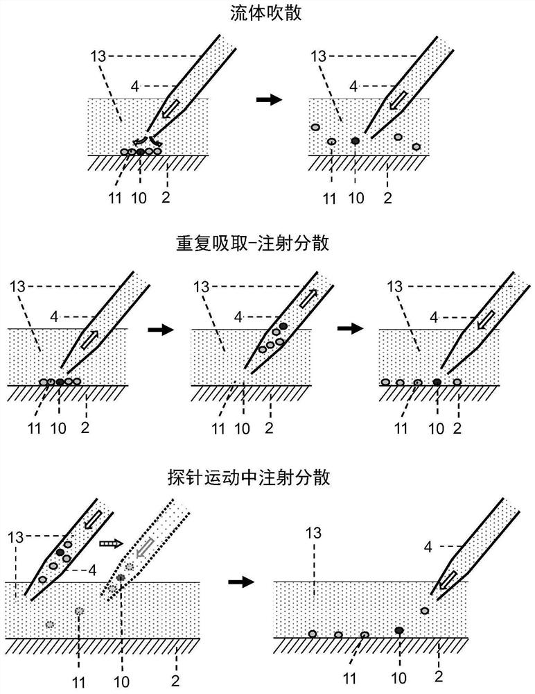 Device and method for high-purity sorting of rare cells