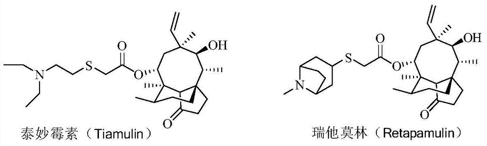 Pleuromutilin antibiotic derivatives