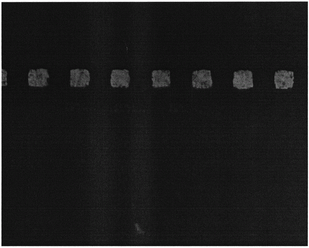 Difference etching solution for semi-additive process preparation fine line