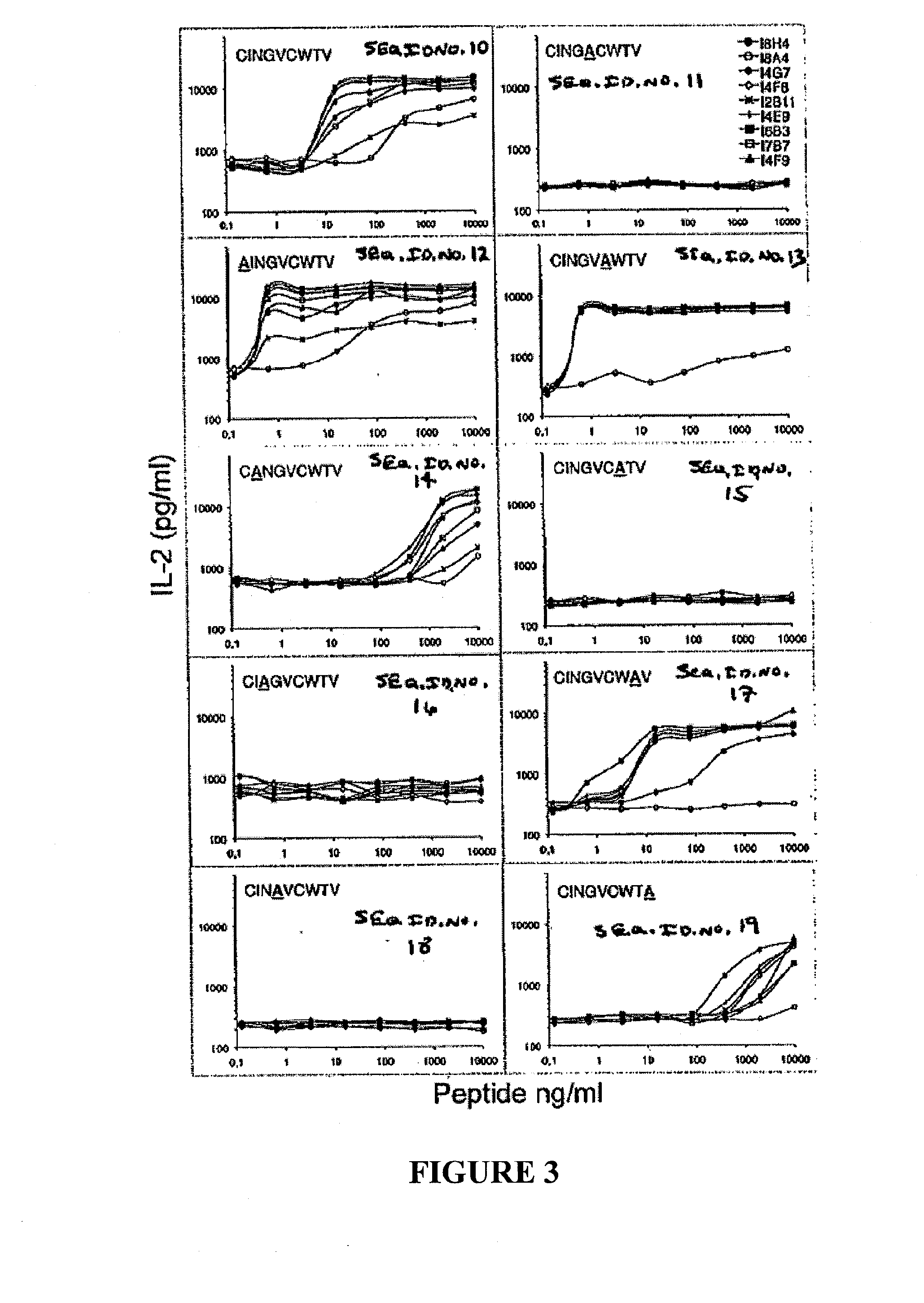 T cell receptors specific for immunodominant ctl epitopes of hcv