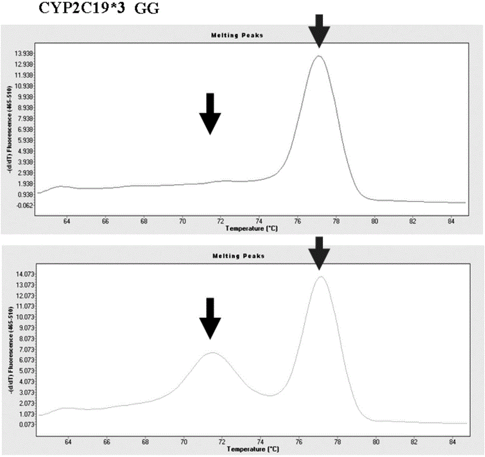 Primer combination for detecting allele CYP2C19*3 and detection kit thereof