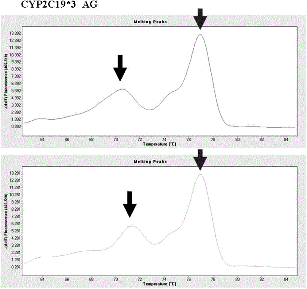 Primer combination for detecting allele CYP2C19*3 and detection kit thereof