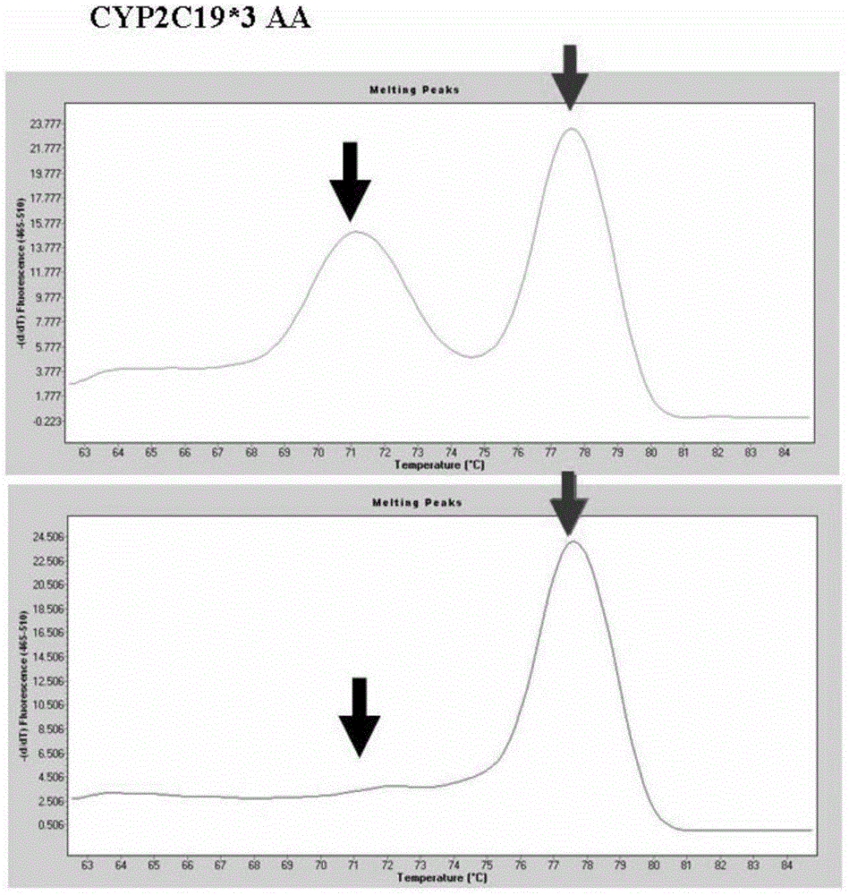 Primer combination for detecting allele CYP2C19*3 and detection kit thereof