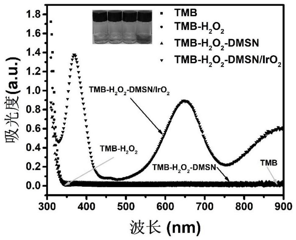 Preparation and application of dendritic mesoporous silica/iridium dioxide composite nanozyme