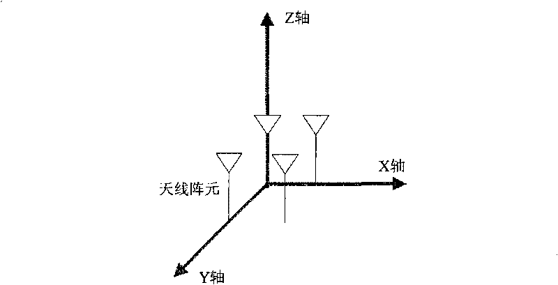 Homing signal space-time anti-interference digital signal processor