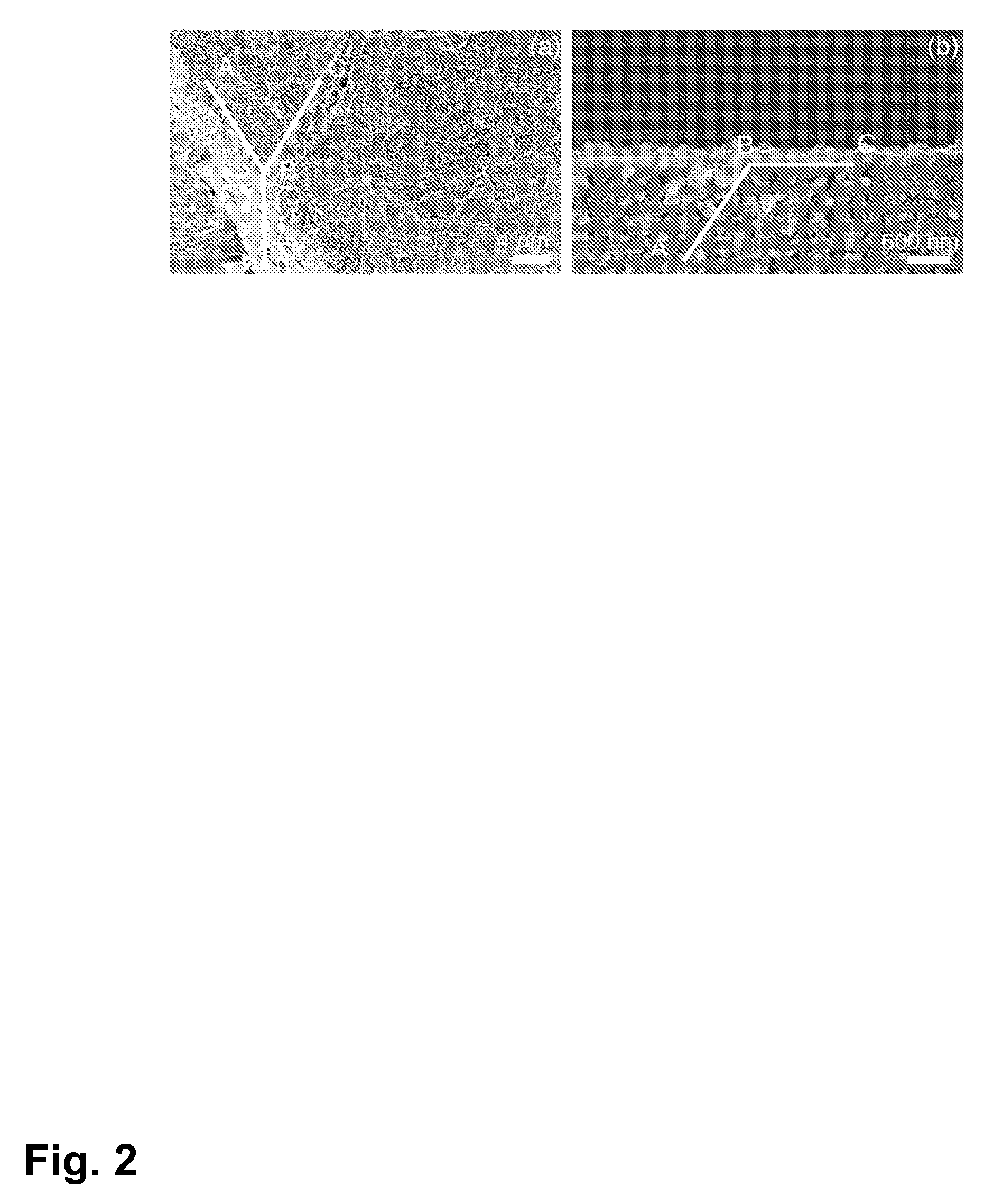 Optical Sensor Device for Local Analysis of a Combustion Process in a Combustor of a Thermal Power Plant