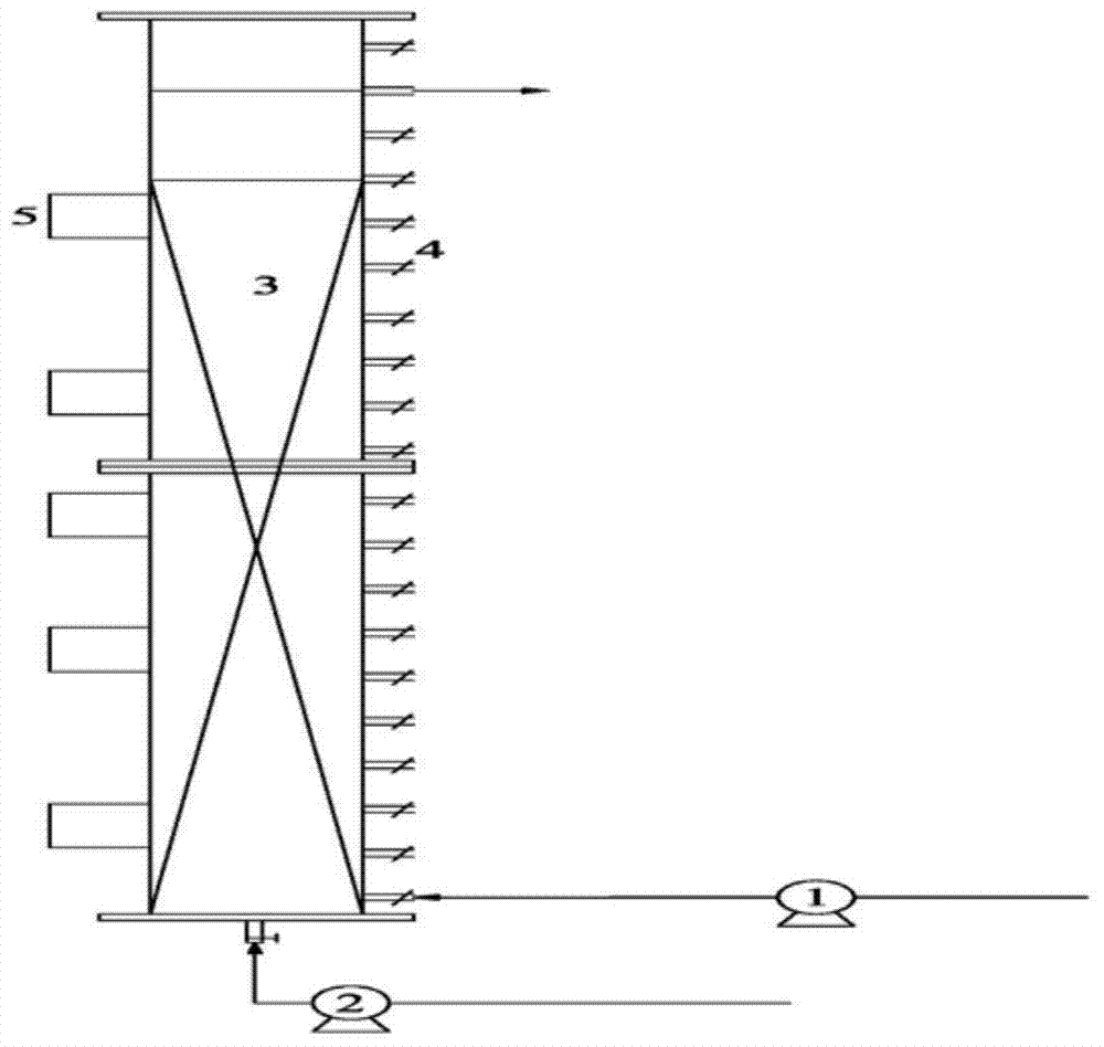 Quick starting method for technology for simultaneous denitrification and COD removal under condition of normal-temperature and low-C/N sewage