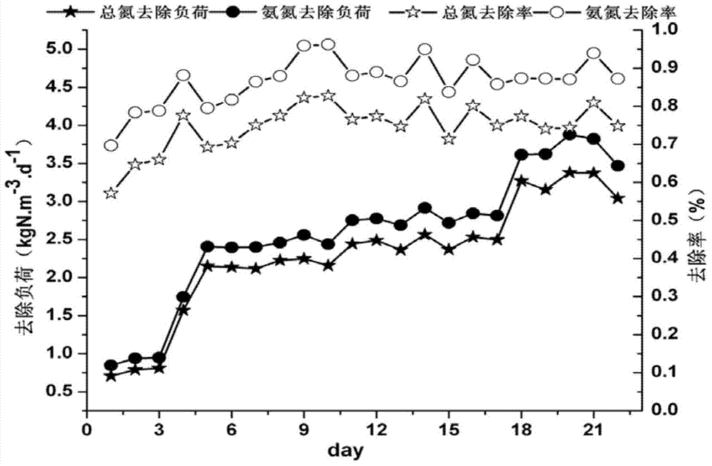 Quick starting method for technology for simultaneous denitrification and COD removal under condition of normal-temperature and low-C/N sewage