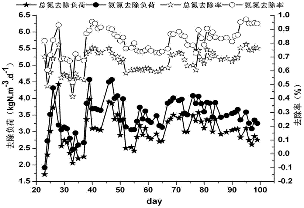 Quick starting method for technology for simultaneous denitrification and COD removal under condition of normal-temperature and low-C/N sewage