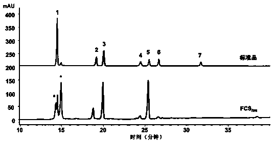 A kind of fucosylated chondroitin sulfate fcs  <sub>hm</sub> And its preparation method and application