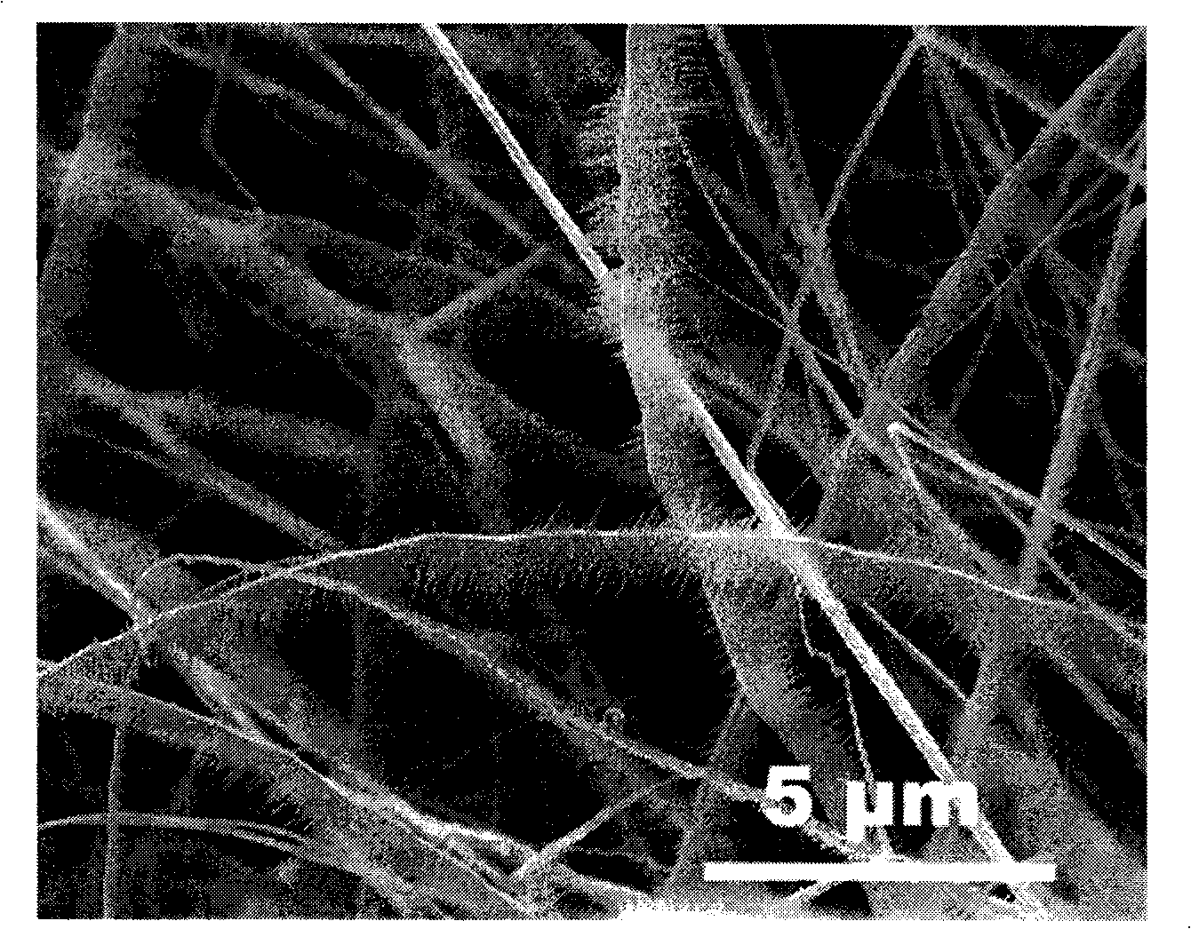 An aluminum nitride nanometer comb and preparation method thereof