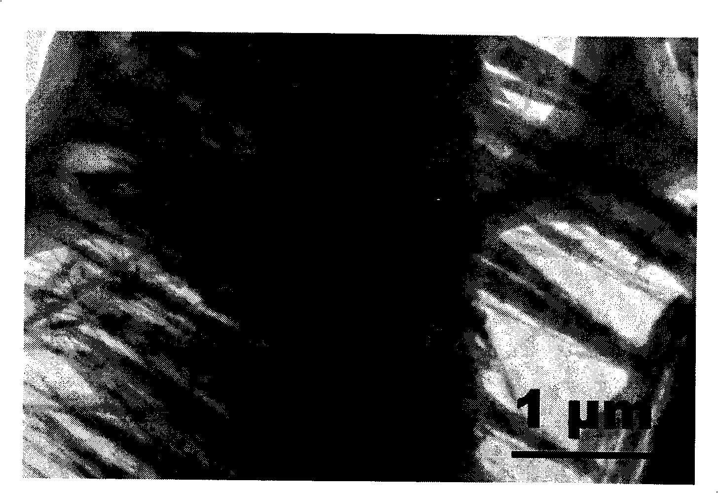 An aluminum nitride nanometer comb and preparation method thereof