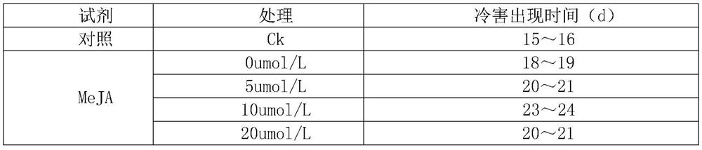 Disease-preventing and fresh-keeping method for prolonging storage period of dragon fruits