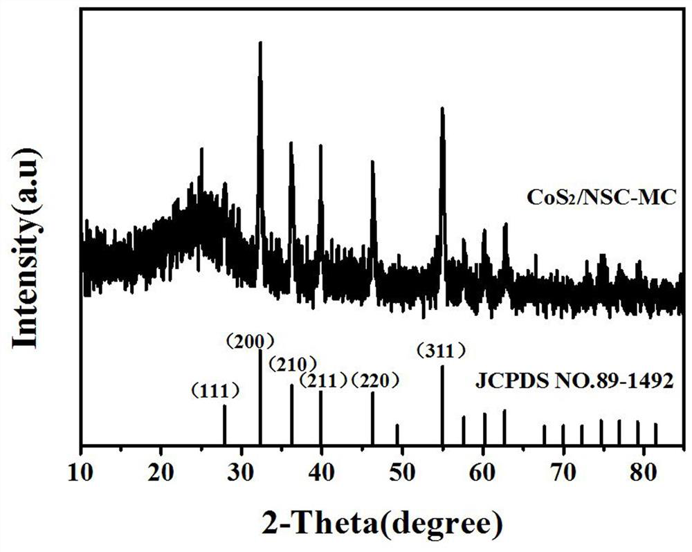 Cobalt disulfide/nitrogen-sulfur co-doped mesoporous carbon composite catalyst for zinc-air battery and preparation method of cobalt disulfide/nitrogen-sulfur co-doped mesoporous carbon composite catalyst