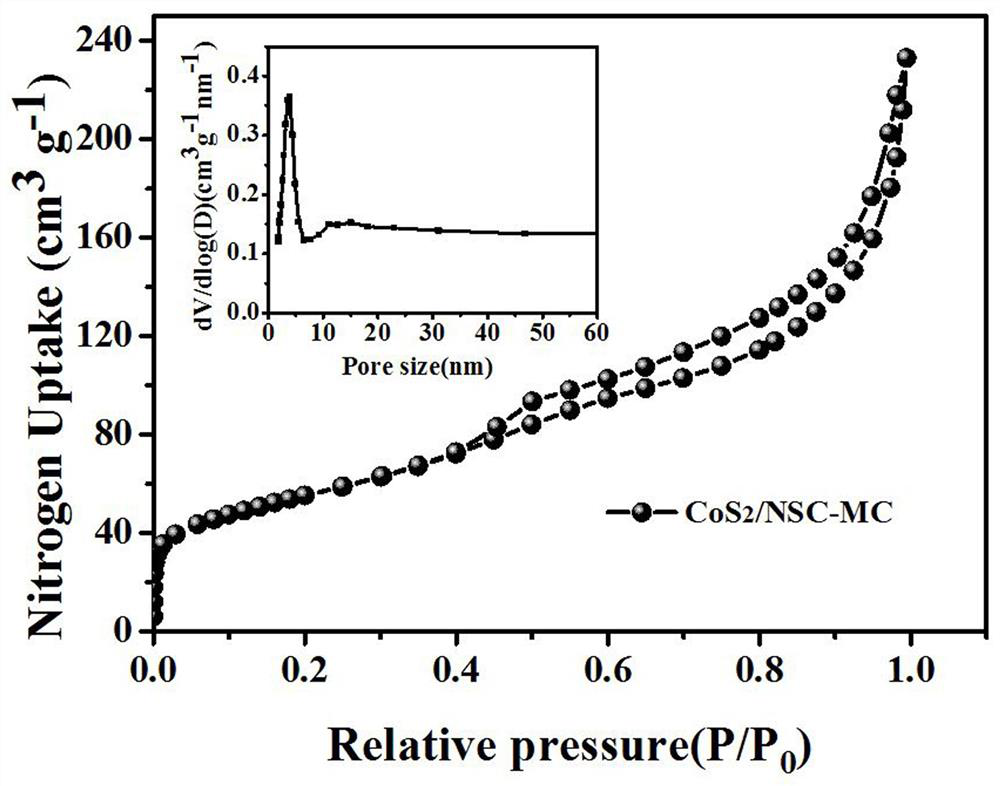 Cobalt disulfide/nitrogen-sulfur co-doped mesoporous carbon composite catalyst for zinc-air battery and preparation method of cobalt disulfide/nitrogen-sulfur co-doped mesoporous carbon composite catalyst