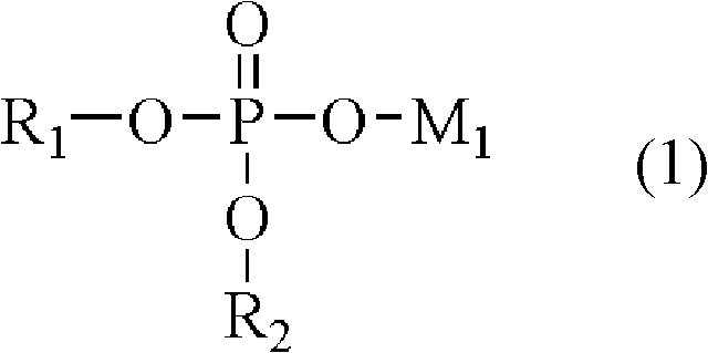 Lithium ion secondary battery and positive electrode thereof