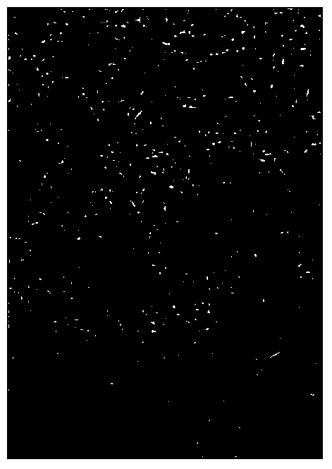 Temperature sensitive cell culture surface and method for making same