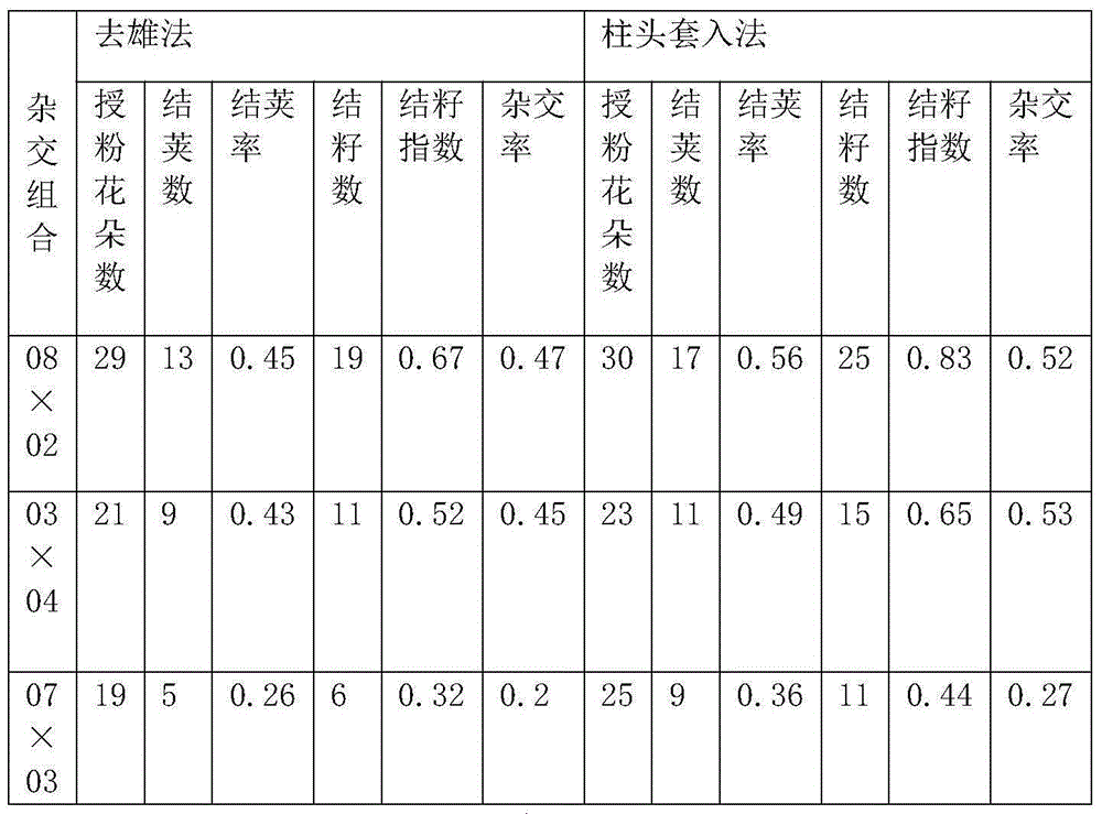 Crossbreeding method of common kidney beans